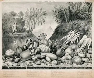 Les Fruits De Java