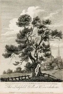The Lichfield Willow, Warwickshire