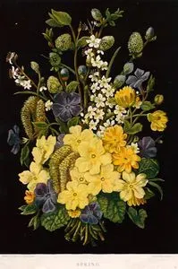 Spring