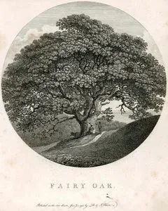 Fairy Oak