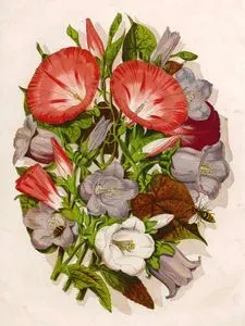 Flowers-Bees