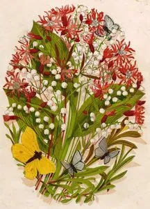Flowers-Butterfly