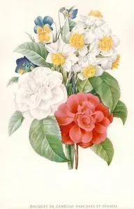Bouquet De Camelias Narcisses At Pensees