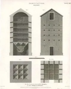 Agriculture, Granary, Plate XXIV.