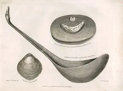Ornament Of Under Lip, Worn By The Woman Of  Charlottes Isles-Ladle Made Of Horn From The Sama Place-Anomia Venosa, Soland