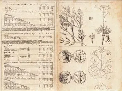 Table of Weights and Measures