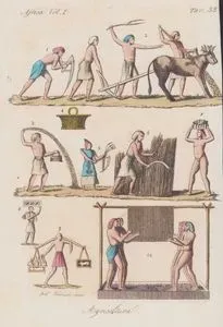 Agricoltura, Africa Vol. I. Tav.33. (Egypt Agriculture-Egyptian Priest of Osiris With Scepter (1), Plowing the Field with Two Yoke Oxen (2), Man Sowing From a Box (3), Men Harvesting Wheat With a Scythe (5,6), Men Carrying Produce (7,8,9), Men Pressing the Grape While Holding on to Ropes Hanging From a Horizontal Pole (10))