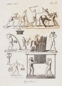 Agricoltura, Africa Vol. I. Tav.33. (Egypt Agriculture-Egyptian Priest of Osiris With Scepter (1), Plowing the Field with Two Yoke Oxen (2), Man Sowing From a Box (3), Men Harvesting Wheat With a Scythe (5,6), Men Carrying Produce (7,8,9), Men Pressing the Grape While Holding on to Ropes Hanging From a Horizontal Pole (10))