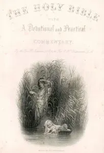 Moses In The Bulrushes