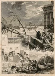 The Plague Of Hail And The Plague Of Frogs