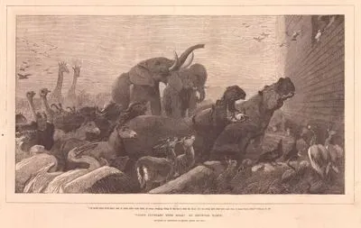 God's Covenant With Noah (Of Fowls After Their Kind, and of Cattle after Their Kind, of Every Creeping Thing of the Earth After His Kind, Two of Every Sort Shall Come unto Thee, to Keep Them Alive), Genesis VI.20.