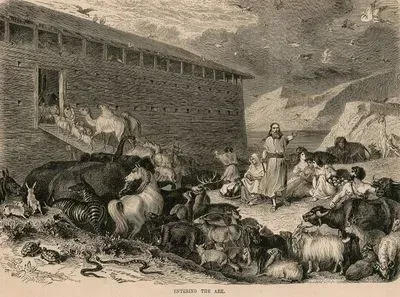 Entering The Ark