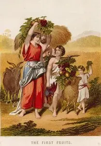 The First Fruits