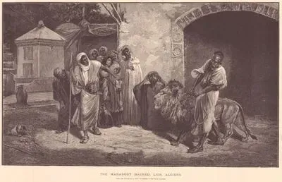 The Marabout (Sacred) Lion, Algiers