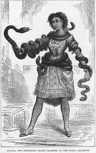 Lualla, The Abyssinian Snake Charmer, At The Royal Aquarium