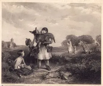 The Pet Of The Common