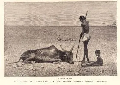The Famine in India, Scenes in the Bellary District, Madras Presidency-The Last Of Herd