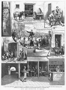 Life and Character in Naples-1. Narrow Street in Old Naples, Abode Of Lazzaroni 2.A Milk Shop And Stable 3.A Street Chestnut Dealer 4.The Public Story Teller  (Cantatore) And His Audience 5.A Vendor of Goats' Milk 6.A Lazzaroni Family At Home 7.A Pastrycook's Shop