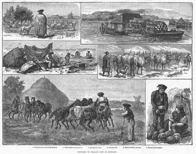 Sketches of Peasant Life in Hungary-1.Hungarian Shepherd With His Flock 2.Water Mills On The Danube 3.Fishing in A Creek 4.Driving Oxen 5.Horses Treading Out Corn 6.Buying Water Melons