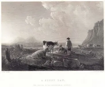 A Sunny Day