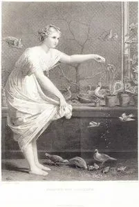 Feeding The Chickens