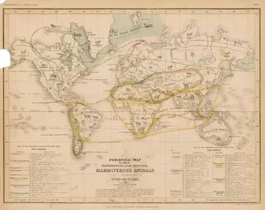 Zoological Map Showing The Distrubition Of The Principal Mammiferous Animals (Class Mammalia) Over The Globe