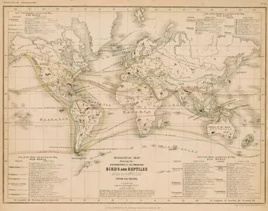 Zoological Map Showing The Distrubition Of The Principal Birds And Reptiles (Aves Et Reptilia) Over The Globe