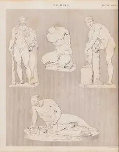 Hercules & Telephus, Torso, Jason, Dying Gladiator, Drawing (Plate CXCV)