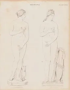 Venus De Medicis, Venus Of The Capitol, Drawing (Plate CXCVI)