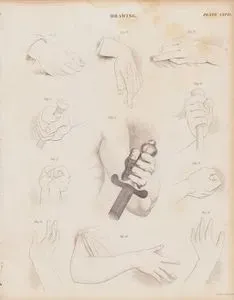 Hands-Drawing (Plate CXCII)