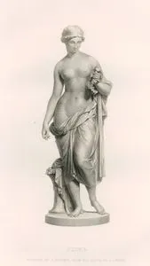 Flora
