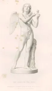 The Birth Of The Rose