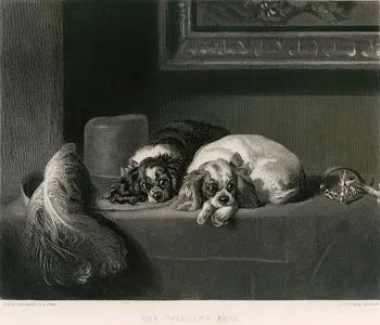 The Cavalier's Pets