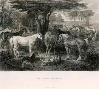 The Council Of Horses