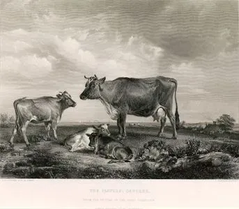 The Pasture - Osborne