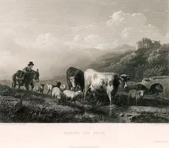 Passing The Brook