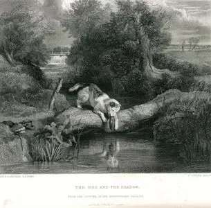 The Dog And The Shadow