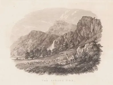 The Spring Bok