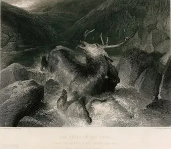 The Death Of The Stag