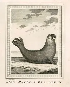 Lion Marin-Zee-Leeuw