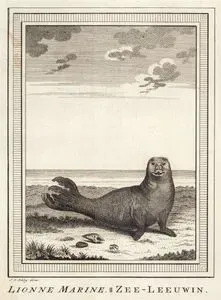 Lionne Marin-Zee-Leeuwin
