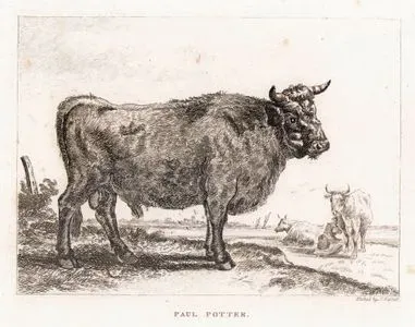 Cow-Paul Potter