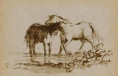 Horses