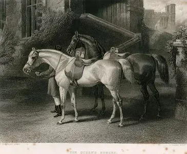 The Queen's Horses