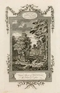 Various Species Of Monkeys in The Island Of Ceylon