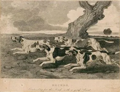 Hounds