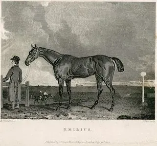 Emilius