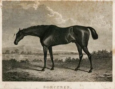 Sorcerer