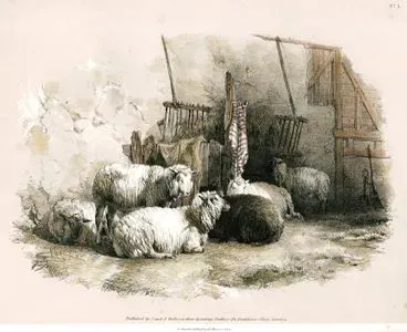 Sheeps