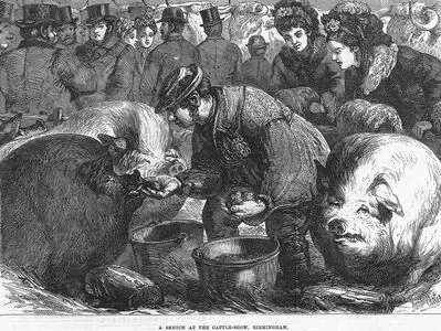 A Sketch At The Cattle-Show, Birmingham
